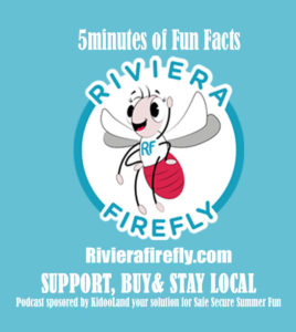 Firefly Fun Facts