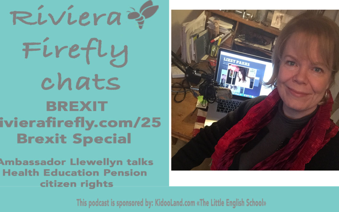 25: Brexit Pensions Health Citizenship with AmbassadorLlewellyn